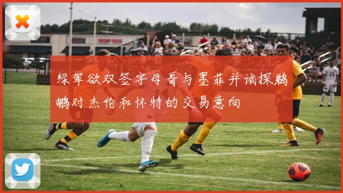 绿军欲双签字母哥与墨菲并试探鹈鹕对杰伦和怀特的交易意向
