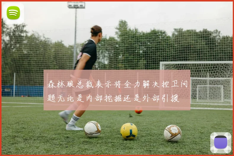 森林狼总裁表示将全力解决控卫问题无论是内部挖掘还是外部引援