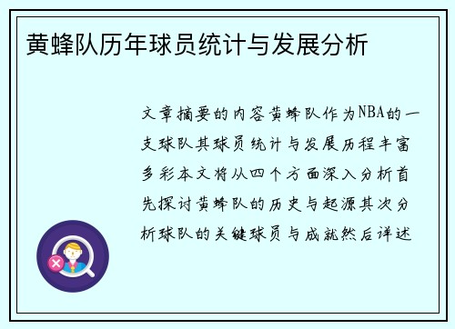 黄蜂队历年球员统计与发展分析