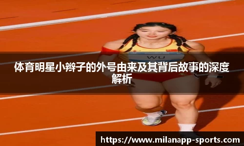 米兰体育平台